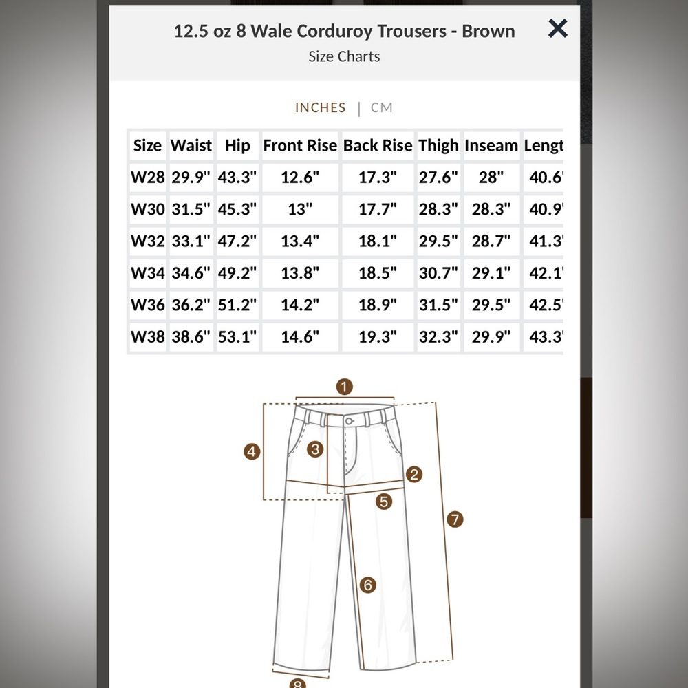 Bronson NS Corduroy Pants Men Pleated Casual Trousers Slacks Workwear OLD MONEY - Picture 2 of 12